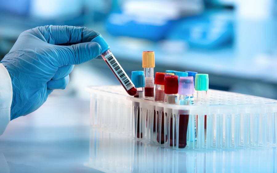 Laboratory Testing Services